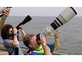 Download Lagu Sigma 150-600 Contemporary \