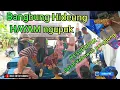 Download Lagu HAYAM NGUPUK Bangbung hideung / sampe kesurupan bajidoran Nico entertainment