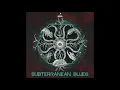 08 - Galileo - Shaman's Blues