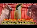 Download Lagu CENDET MUDA BAHAYA TONJOLAN KUNTILANAK VS GREJA SEPURR ORBITAN WAFI SITUBONDO  !!