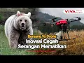 Kasus Serangan Beruang Meledak, Jepang Uji Drone Unik dengan Gonggongan Anjing