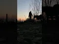 Download Lagu My Incredible Girl🥹🫶🏻🌅 #icelandic #libertyhorsemanship #sunset #trust #connection