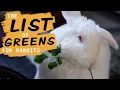 Leafy Greens for Rabbits and what NOT to give them