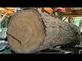 Download Lagu Monster! The most expensive teak wood in the world and the most beautiful to saw for beam material