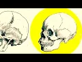 Origins of the word caucasian