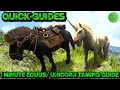 Ark Quick Guides - Equus Unicorn