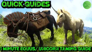 Ark Quick Guides - Equus Unicorn