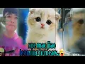 Download Lagu (小潘潘), #xuemao jiao translated in Malay INDO... COVER BY RAN