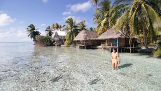 We found SHARK HEAVEN | Ep 94 | Sailing Merewether