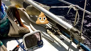 Is that POO?? Reality of life at SEA  Episode 108 Sailing Catalpa