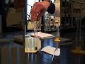 EXP1-Extraction of pigments