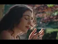 Already Low - Anna Shoemaker