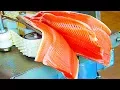 Download Lagu Suka Ikan? 🐟 Inilah Pengolahan Ikan Salmon di Industri Modern dan Canggih