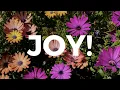 Download Lagu 5 Tips for Finding Joy in Life
