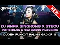 Download Lagu DJ ANAK SINGKONG X STECU❗DJ PUTRI IKLAN  X AKU BUKAN PILIHANMU - DUGEM FUNKOT PALING GACOR