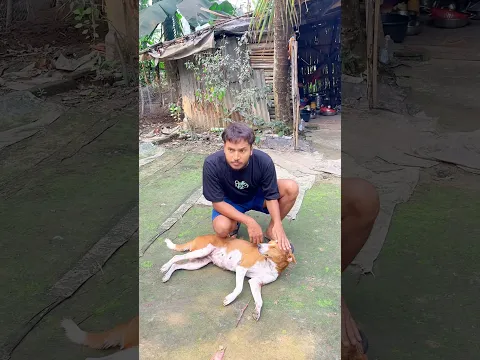 সোয়াবিনের পকোড়া