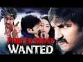 Lagu Phir Ek Most Wanted | Full Movie | Shankam | Gopichand Latest Hindi Dubbed Movie | Trisha