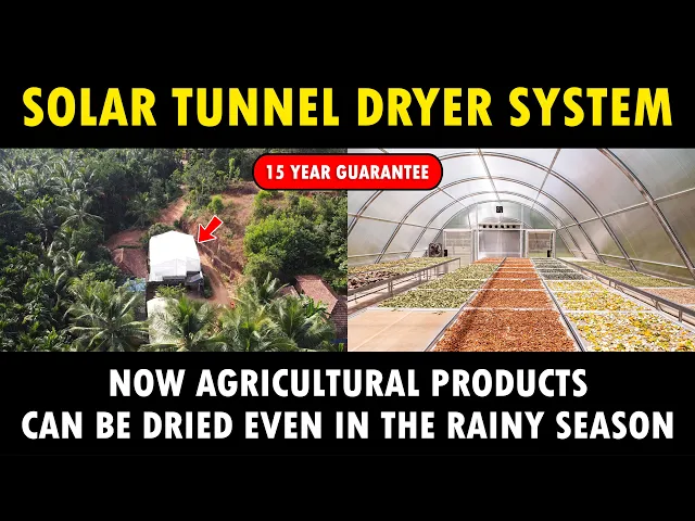 Solar Tunnel Dryer System - Solar powered Agricultural dryer for Farmers