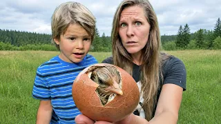 We Rescued Abandoned Eggs