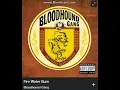 Bloodhound Gang - Fire water burn (explicit)