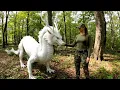 Inside Japan’s Dragon Sanctuary | How We Care for Rare White Dragons