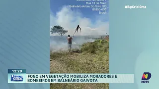 Incêndio é registrado em vegetação entre Balneário Gaivota e Arroio do Silva