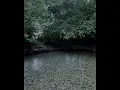 futile devices (doveman remix + instrumental + rain)