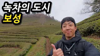 녹차의 도시 보성! 힐링 녹차밭부터 강진까지 벚꽃 라이딩 l 🇰🇷보성 썸네일