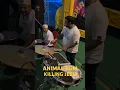 Download Lagu ANIMAL (BGM): KILLING JEEJA | MUSHI RAJ | Harshavardhan R | Ranbir K, Sandeep V, Bhushan K