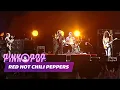 Download Lagu Red Hot Chili Peppers - Californication [HD] | Live at Pinkpop 2006