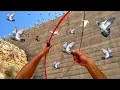Download Lagu الحياة البرية.رحلة صيد الحمام البري بالرمح 🏹🏹👌👌 العيش الحر 👌