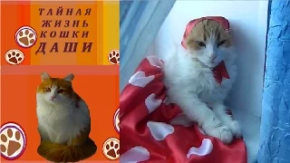 ЧАСТУШКИ ОТ КОШКИ Частушки с кошкой Дашей 