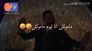 ماموتش انا ايوه ماموتش   هتحضر وترقص كمان  مش هرقص    دندنها