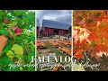 Fall Vlog Apple Orchard Pumpkin Patch Halloween