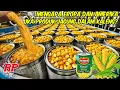 Download Lagu JUTAAN KALENG JAGUNG DI PRODUKSI DI PABRIK INI | HANYA BUTUH WAKTU 4 JAM MEMPROSES JAGUNG DARI KEBUN