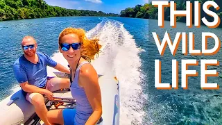 Anchored in the JUNGLE: Sailing Panama’s wild side! [Ep81 RED SEAS]