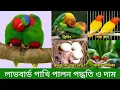 Download Lagu লাভ বার্ড পাখি পালন পদ্ধতি ও দাম | Love bird rearing | Love bird Pakhi Palon