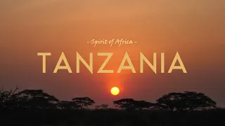 Tanzania Spirit Of Africa In 4K 