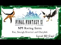 FFXI - NM Hunting Series