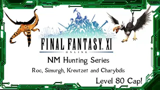 FFXI - NM Hunting Series