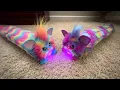 Download Lagu Hasbro DJ Long Furby - All Interactions (Rainbow \u0026 Neon Star Colors)