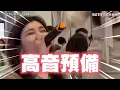 被CUE唱「對的人」正妹害羞拒絕　下秒專業拉麥狂飆超猛高音｜三立新聞網 SETN.com