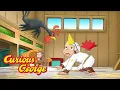 Curious George George the Chicken Kids Cartoon Kids Movies s for Kids