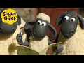 Lagu Shaun the Sheep 🐑 Farm Yard Adventures | Full Episodes Compilation [1 hour]