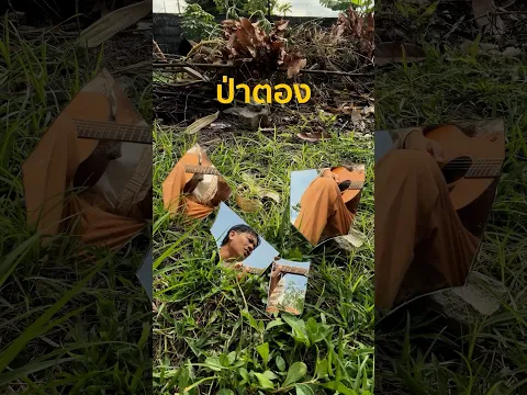 เวลาเจอป่าละเมาะ แบบนี้ เพื่อนชอบไปนั่งทำอะไรครับ?