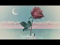 Tove Lo - des fleurs x stromae (French Radio Edit)