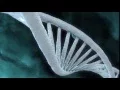 DNA Strands with Trapcode Tao After Effects Tutorial