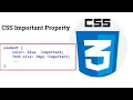 22 important properties in css