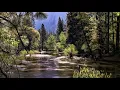 Download Lagu Balancing Grounding Inspiring 432Hz Root 396Hz 7.83 Schumann Theta Binaural
