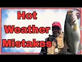 5 Summer Bass Fishing Mistakes That Cost You Fish